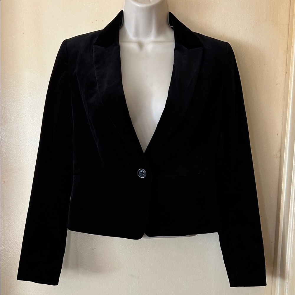 Banana Republic Elegant Black Velvet Blazer size 2P